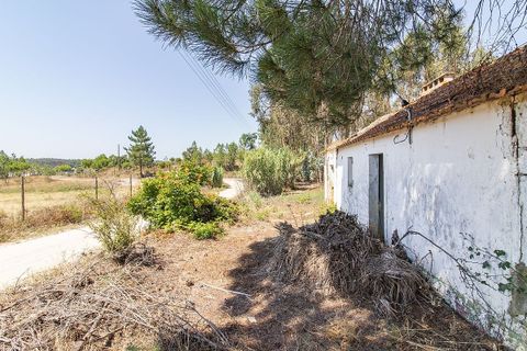 Villa a Coruche, Santarem, Coruche - € 120.000 | Ref: 120611304-972 - foto 19