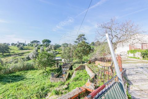 Villa i Azambuja, Lisbon, Azambuja - € 530.000 | Ref: 120612744-5 - foto 5