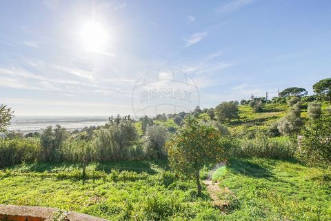 Villa i Azambuja, Lisbon, Azambuja - € 530.000 | Ref: 120612744-5 - foto 6