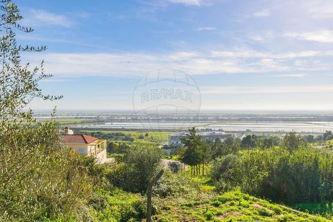 Villa i Azambuja, Lisbon, Azambuja - € 530.000 | Ref: 120612744-5 - foto 12