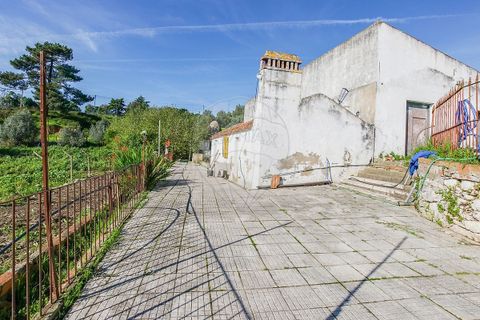 Villa i Azambuja, Lisbon, Azambuja - € 530.000 | Ref: 120612744-5 - foto 13