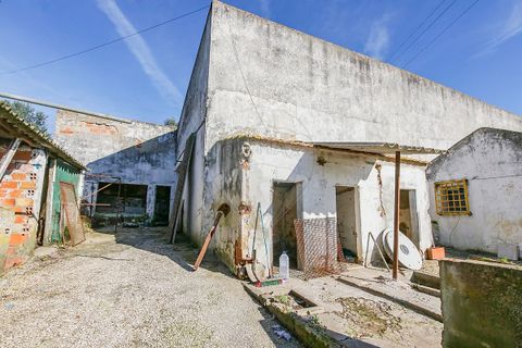 Villa i Azambuja, Lisbon, Azambuja - € 530.000 | Ref: 120612744-5 - foto 14