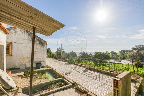 Villa i Azambuja, Lisbon, Azambuja - € 530.000 | Ref: 120612744-5 - foto 15