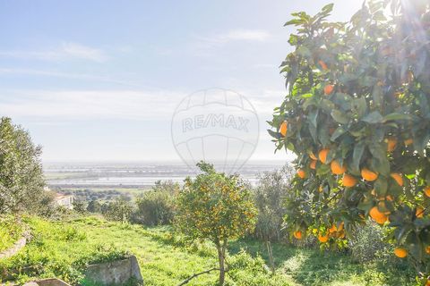 Villa i Azambuja, Lisbon, Azambuja - € 530.000 | Ref: 120612744-5 - foto 17