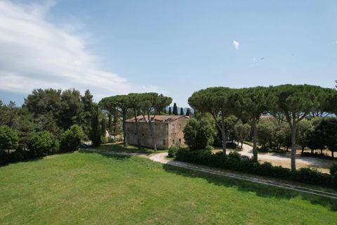Landejendom i Cecina, Livorno, Cecina - € 597.000 | Ref: CS473 - foto 3