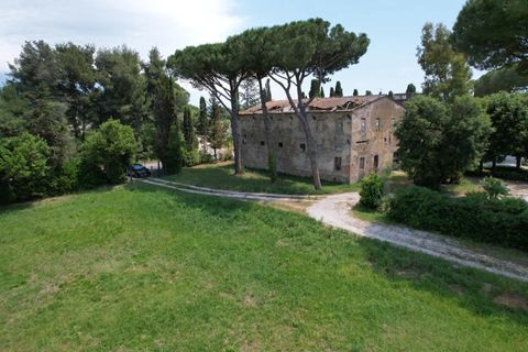 Landejendom i Cecina, Livorno, Cecina - € 597.000 | Ref: CS473 - foto 7