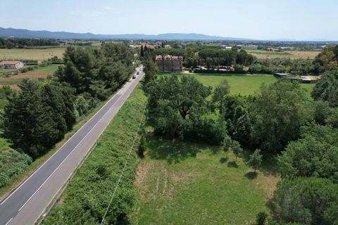 Landejendom i Cecina, Livorno, Cecina - € 597.000 | Ref: CS473 - foto 17