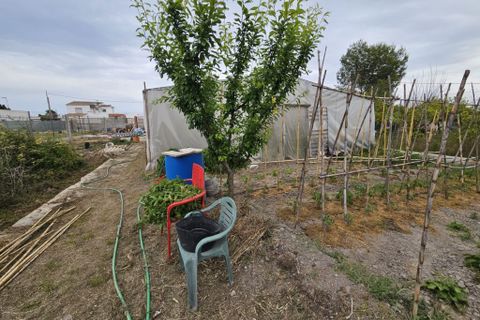Villa a Oliva, Valencia, Oliva - € 250.000 | Ref: OCVL910100 - foto 3