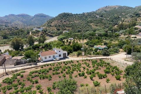 Finca i Comares, Malaga, Comares - € 325.000 | Ref: J976 - foto 1