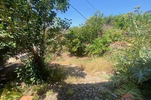 Finca i Comares, Malaga, Comares - € 325.000 | Ref: J976 - foto 3