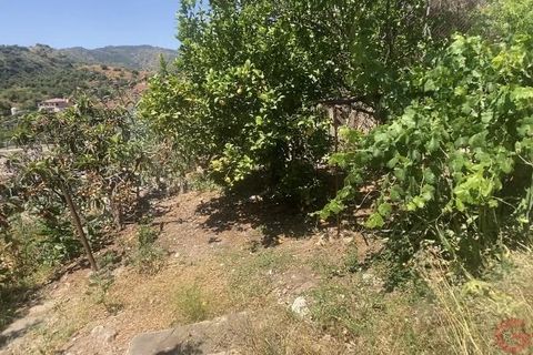 Finca i Comares, Malaga, Comares - € 325.000 | Ref: J976 - foto 4