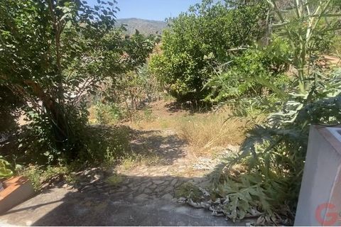 Finca i Comares, Malaga, Comares - € 325.000 | Ref: J976 - foto 31