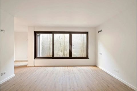 Villa a Alcabideche, Lisbon, Alcabideche - € 1.670.000 | Ref: RP_36 - foto 9