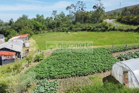Landejendom i Ortigueira, Coruna, Ortigueira - € 89.000 | Ref: 1214 - foto 3