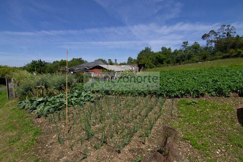 Landejendom i Ortigueira, Coruna, Ortigueira - € 89.000 | Ref: 1214 - foto 21
