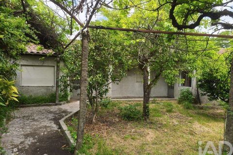 Farm i Viseu, Viseu, Viseu - € 220.000 | Ref: 882280 - foto 4