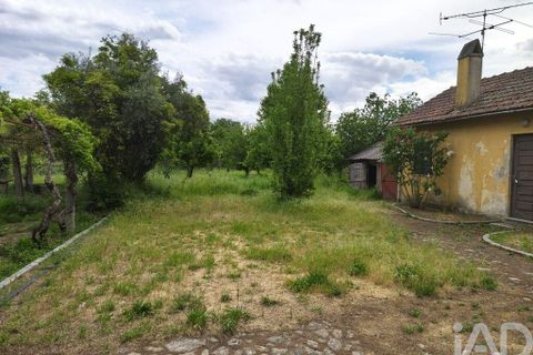Farm i Viseu, Viseu, Viseu - € 220.000 | Ref: 882280 - foto 5