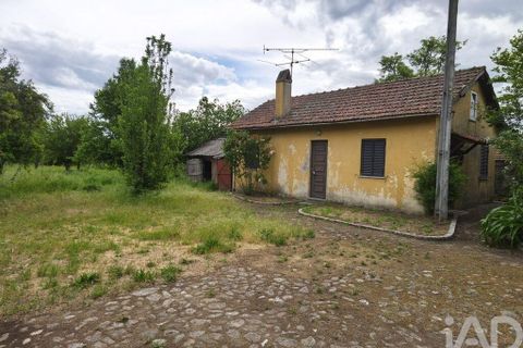 Farm i Viseu, Viseu, Viseu - € 220.000 | Ref: 882280 - foto 6