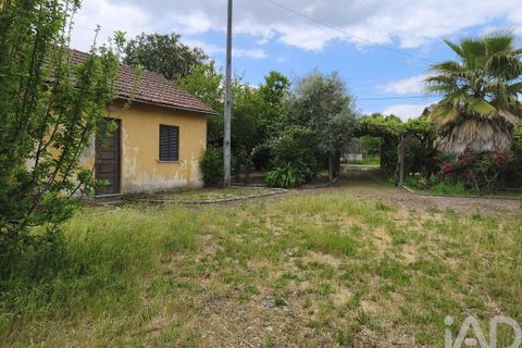 Farm i Viseu, Viseu, Viseu - € 220.000 | Ref: 882280 - foto 7