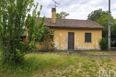 Farm i Viseu, Viseu, Viseu - € 220.000 | Ref: 882280 - foto 9