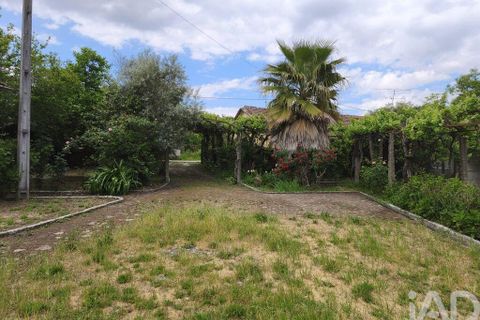 Farm i Viseu, Viseu, Viseu - € 220.000 | Ref: 882280 - foto 10