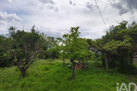 Farm i Viseu, Viseu, Viseu - € 220.000 | Ref: 882280 - foto 11