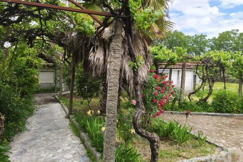 Farm i Viseu, Viseu, Viseu - € 220.000 | Ref: 882280 - foto 12