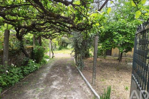 Farm i Viseu, Viseu, Viseu - € 220.000 | Ref: 882280 - foto 13