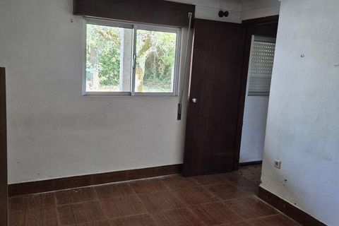 Farm i Viseu, Viseu, Viseu - € 220.000 | Ref: 882280 - foto 19