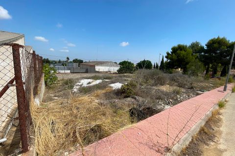 Terra a Rojales, Alicante, Rojales - € 330.000 | Ref: 79934 - foto 11