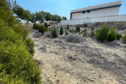 Terra a Rojales, Alicante, Rojales - € 330.000 | Ref: 79934 - foto 14