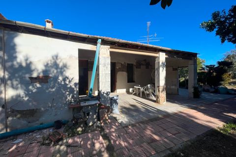 Landejendom i Elche, Alicante, Elche - € 280.000 | Ref: 55028 - foto 1