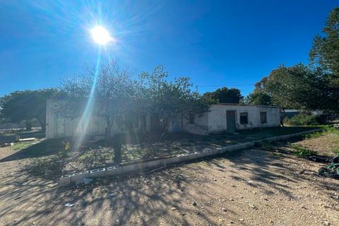 Landejendom i Elche, Alicante, Elche - € 280.000 | Ref: 55028 - foto 4