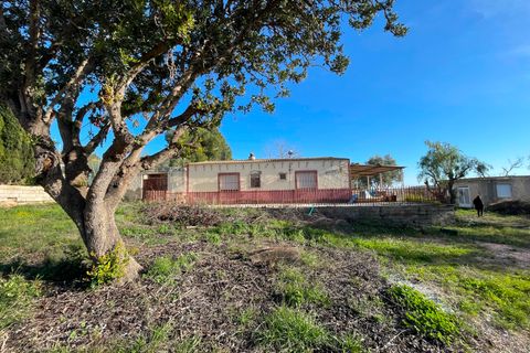 Landejendom i Aspe, Alicante, Aspe - € 215.000 | Ref: 82618 - foto 14