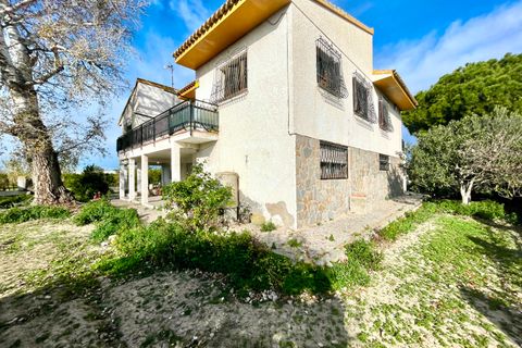 Villa a Benejuzar, Alicante, Benejuzar - € 238.000 | Ref: 18979 - foto 16