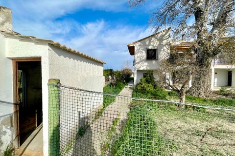 Villa a Benejuzar, Alicante, Benejuzar - € 238.000 | Ref: 18979 - foto 20