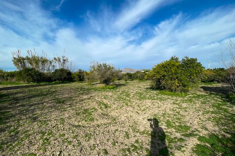 Villa a Benejuzar, Alicante, Benejuzar - € 238.000 | Ref: 18979 - foto 23