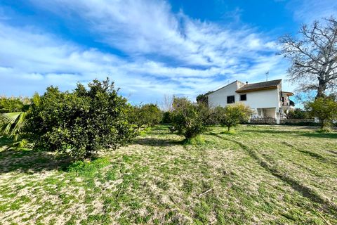 Villa a Benejuzar, Alicante, Benejuzar - € 238.000 | Ref: 18979 - foto 25