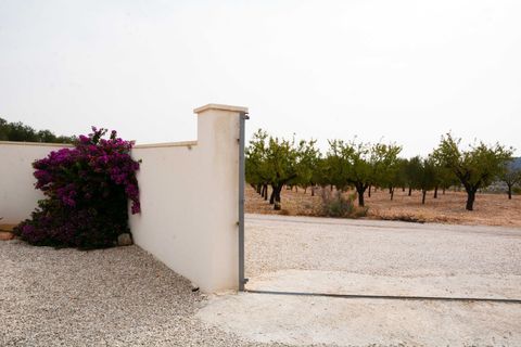 Landejendom i Macisvenda, Murcia, Macisvenda - € 357.000 | Ref: 38008 - foto 47