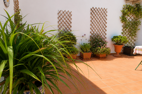 Byhus i La Romana, Alicante, La Romana - € 149.900 | Ref: AM-LRSUE - foto 37
