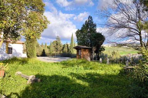 Landejendom i Arriate, Malaga, Arriate - € 350.000 | Ref: 1906 - foto 24