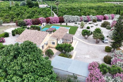 Landejendom i Benejuzar, Alicante, Benejuzar - € 410.000 | Ref: 5371 - foto 5