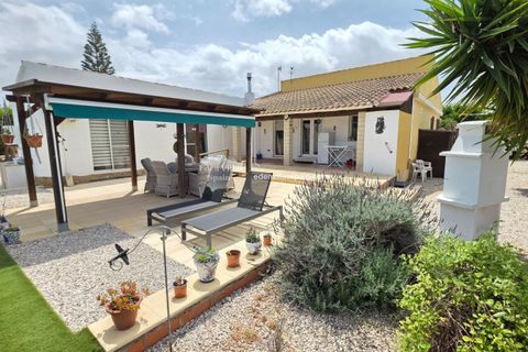 Landejendom i Benejuzar, Alicante, Benejuzar - € 410.000 | Ref: 5371 - foto 21