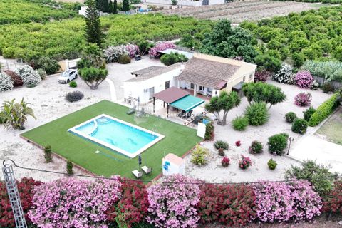 Landejendom i Benejuzar, Alicante, Benejuzar - € 410.000 | Ref: 5371 - foto 6
