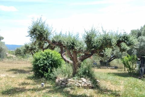 Finca i Mora D'ebre, Tarragona, Mora D'ebre - € 235.000 | Ref: Dt - foto 33