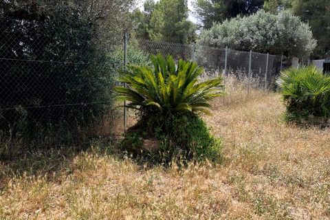 Finca i Mora D'ebre, Tarragona, Mora D'ebre - € 235.000 | Ref: Dt - foto 37