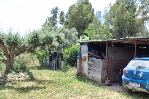 Finca i Mora D'ebre, Tarragona, Mora D'ebre - € 235.000 | Ref: Dt - foto 35