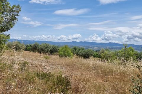 Finca i Mora D'ebre, Tarragona, Mora D'ebre - € 235.000 | Ref: Dt - foto 34
