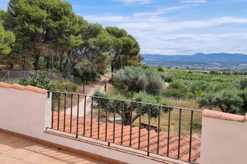 Finca i Mora D'ebre, Tarragona, Mora D'ebre - € 235.000 | Ref: Dt - foto 42