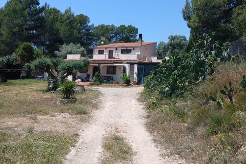 Finca i Mora D'ebre, Tarragona, Mora D'ebre - € 235.000 | Ref: Dt - foto 38
